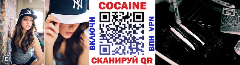 COCAIN Fish Scale  Купить закладки  Торжок 