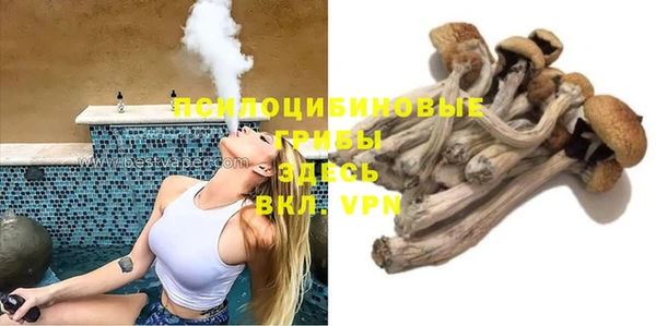 первитин Заводоуковск